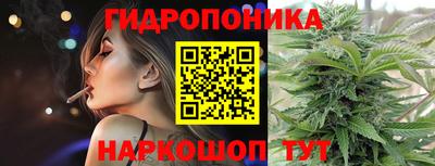 дурь Гусиноозёрск